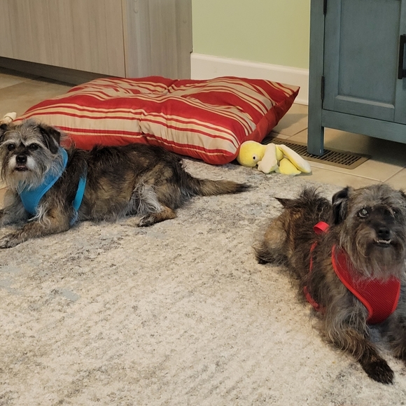 Slo515...Going Live!!! Share Show! Let's Go!!!!!🩷 - Picture 2 of 12